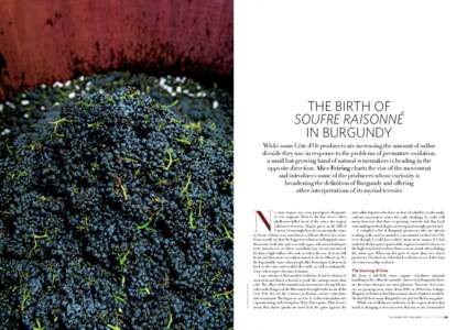 feature / ferment / Soufre Raisonné in Burgundy  THE BIRTH OF SOUFRE RAISONNÉ IN BURGUNDY While some Côte d’Or producers are increasing the amount of sulfur