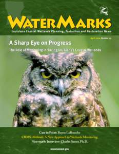 Louisiana Coastal Wetlands Planning, Protection and Restoration News April 2004 Number 25 A Sharp Eye on Progress The Role of Monitoring in Saving Louisiana’s Coastal Wetlands