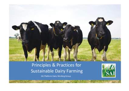 Principles & Practices for Sustainable Dairy Farming SAI Platform Dairy Working Group Principles and Practices for Sustainable Dairy Farming (versionDairy producers aim to ensure that the safety and quality of th