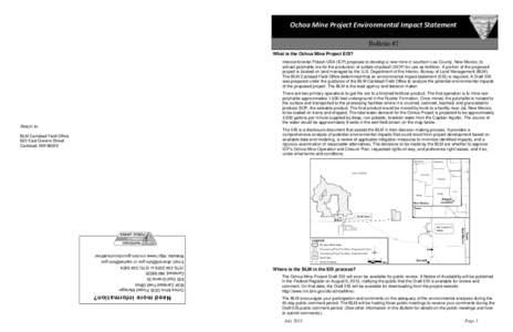     Ochoa Mine Project Environmental Impact Statement  Bulletin #2 What is the Ochoa Mine Project EIS? Intercontinental Potash USA (ICP) proposes to develop a new mine in southern Lea County, New Mexico, to ext