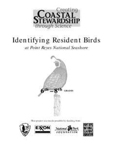 Identifying Resident Birds at Point Reyes National Seashore 6th – 8th  GRADES