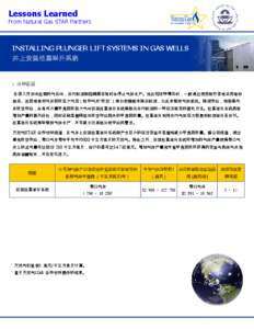 Lessons Learned  From Natural Gas STAR Partners INSTALLING PLUNGER LIFT SYSTEMS IN GAS WELLS 井上安装柱塞举升系统