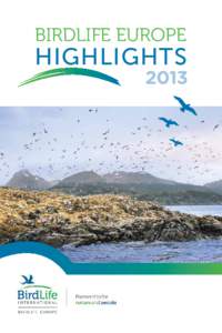 Birdlife Europe  Highlights 