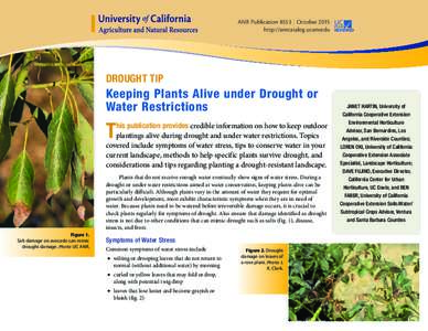 ANR Publication 8553 | October 2015 http://anrcatalog.ucanr.edu DROUGHT TIP  Keeping Plants Alive under Drought or