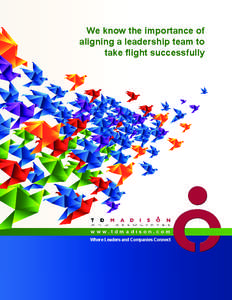 We know the importance of aligning a leadership team to take flight successfully