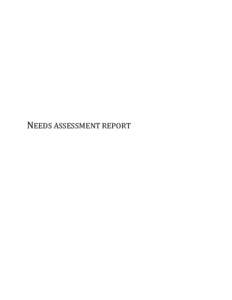 NEEDS ASSESSMENT REPORT  Authors: Serbia  Univerzitet u Nišu: