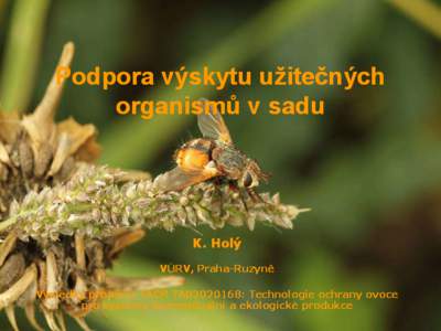 Podpora výskytu užitečných organismů v sadu K. Holý VÚRV, PrahaPraha-Ruzyně Výsledky projektu TAČR TA02020168: Technologie ochrany ovoce