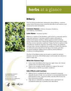 Bilberry This fact sheet provides basic information about bilberry—common names, what the science says, potential side effects and cautions, and resources for more information.  Common Names—bilberry, European bluebe