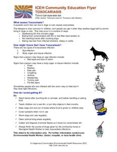 ICEH Community Education Flyer TOXOCARIASIS Tox-o-car-eye-ass-iss Other words: Toxocara canis or Toxocara cati infection,  What causes Toxocariasis?