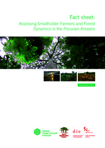 Physiographic regions of Peru / Tropical and subtropical moist broadleaf forests / Forestry / Amazon Basin / Amazon rainforest / Deforestation / Omagua / Peruvian Amazon / Rupa-Rupa / South America / Regions of South America / Americas