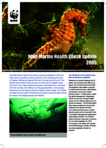 The WWF Marine Health Check series, previously published in 2000 and 2005, aims to provide an evolving overview of the well-being and status of ‘flagship’ habitats and species that live in the seas around the UK. The