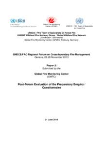 Microsoft Word - GFMC-UNECE-Report-5-GFMC-3-with-Annex.doc