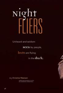 Night  FLIERS Unheard and seldom