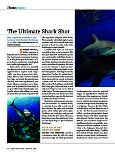 Photography  The Ultimate Shark Shot How to push the envelope to capture your most dramatic shark images yet. T E X T A N D P H O TOGRAPHY BY STEPHEN FRINK