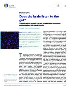 INSIGHT  MICROBIOME Does the brain listen to the gut?