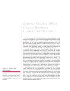 Beyond Shocks: What Causes Business Cycles? An Overview Jeffrey C. Fuhrer and Scott Schuh