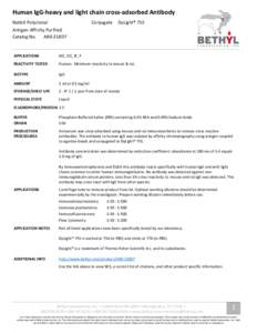 Human IgG-heavy and light chain cross-adsorbed Antibody Rabbit Polyclonal Conjugate  DyLight® 755