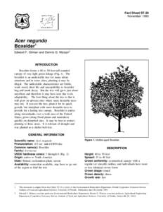 Fact Sheet ST-20 November 1993 Acer negundo Boxelder1 Edward F. Gilman and Dennis G. Watson2