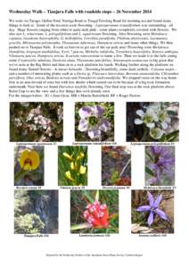 Natural history of Australia / Isopogon / Dampiera stricta / Kunzea ambigua / Australian Native Plants Society / Flora of Australia / Hakea / Thysanotus / Persoonia linearis / Flora of New South Wales / Environment of Australia / States and territories of Australia