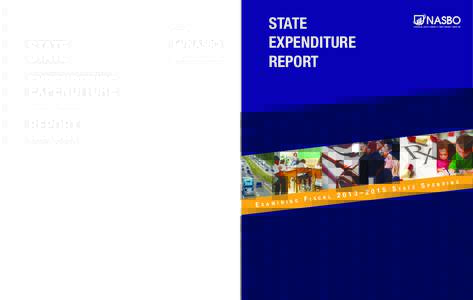 S T A T E  STATE EXPENDITURE REPORT
