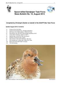Sbs TF News Bull. No. 10, Aug[removed]Spoon-billed Sandpiper Task Force News Bulletin No. 10, August 2013