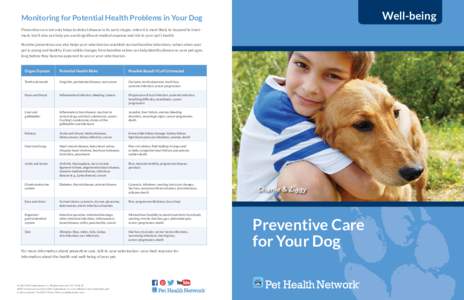 Well-being  Monitoring for Potential Health Problems in Your Dog Preventive care not only helps to detect disease in its early stages, when it is most likely to respond to treatment, but it also can help you avoid signif