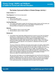 Microsoft Word - Carbon Cycle A3 _6.9.09_.doc