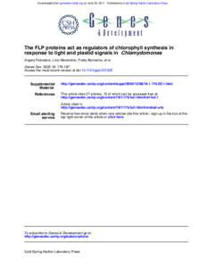 Downloaded from genesdev.cshlp.org on June 30, [removed]Published by Cold Spring Harbor Laboratory Press  The FLP proteins act as regulators of chlorophyll synthesis in response to light and plastid signals in Chlamydomona