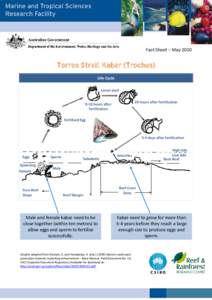 Fact Sheet – May[removed]Torres Strait Kabar (Trochus) Life Cycle Larval shell 20 hours after fertilisation