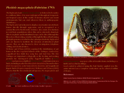 Pheidole megacephala (Fabricius[removed]The big headed ant Pheidole megacephala is believed to be native to southern Africa. It is now widespread throughout temperate and tropical zones of the world. It favours shaded and 