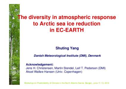 The diversity in atmospheric response to Arctic sea ice reduction in EC-EARTH Shuting Yang Danish Meteorological Institute (DMI), Denmark