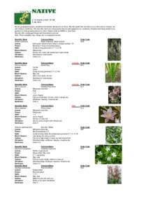 Nursery propagated prairie, woodland and wetland natives are our focus. We offer plants that are native to our area and our climate, soil and moisture conditions. We also offer some non native plants that are well adapte