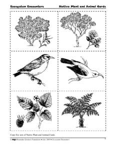 Ecosystem Encounters  Native Plant and Animal Cards Copy five sets of Native Plant and Animal Cards. © mgf Moanalua Gardens Foundation ● Jan. 2005 ● Ecosystem Encounters