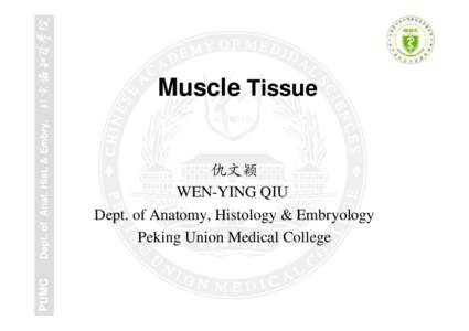 PUMC  Dept. of Anat. Hist. & Embry. Muscle Tissue