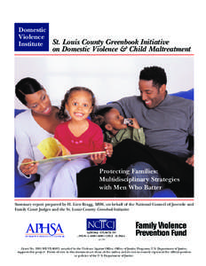 Domestic Violence Institute St. Louis County Greenbook Initiative on Domestic Violence & Child Maltreatment