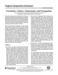 publication[removed]Perennials: Culture, Maintenance and Propagation Diane Relf, Extension Specialist, Environmental Horticulture, Virginia Tech Elizabeth Ball , Program Support Technician, Virginia Tech