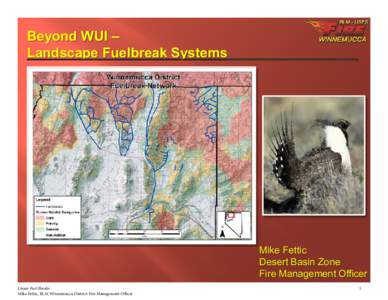 Beyond WUI – Landscape Fuelbreak Systems_________________ Mike Fettic Desert Basin Zone Fire Management Officer