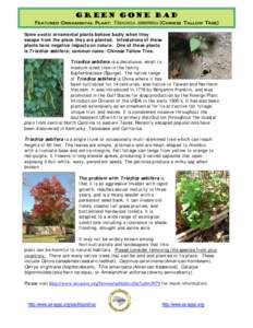 Medicinal plants / Sapium / Triadica sebifera / Catalpa / Triadica / Ostrya virginiana / Ostrya / Amelanchier / Cercis canadensis / Flora of the United States / Flora / Ornamental trees