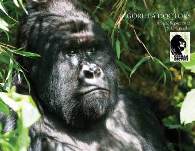 COVER  “Working with Gorilla Doctors is the realization of a life-long dream and is really why I went to veterinary school. By providing medical care to wild gorillas I’m not only helping individual animals live lon