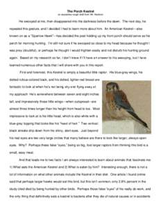 The Porch Kestrel an expository rough draft from Mr. Harrison He swooped at me, then disappeared into the darkness before the dawn. The next day, he repeated this gesture, and I decided I had to learn more about him. An 