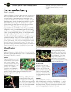 Invasive Species—Best Control Practices  Japanese barberry Michigan Department of Natural Resources Michigan Natural Features Inventory