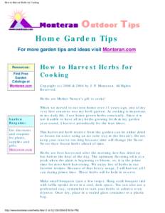 How to Harvest Herbs for Cooking