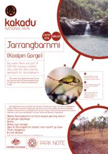CAMP WALKS SITE Jarrangbarnmi (Koolpin Gorge) Big water flows are part of
