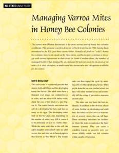 Managing Varroa Mites in Honey Bee Colonies The varroa mite (Varroa destructor) is the most serious pest of honey bee colonies worldwide. This parasite was first detected in North Carolina in 1990, having been introduced