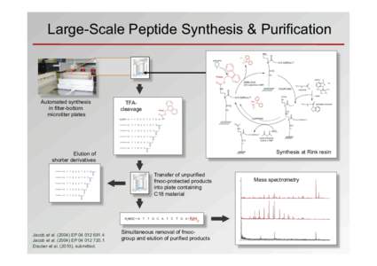 Large-Scale Peptide Synthesis & Purification  Automated synthesis in filter-bottom microtiter plates