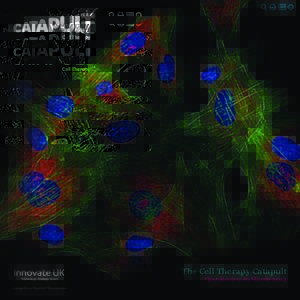 The Cell Therapy Catapult First Review to March 2014 Catapult is an Innovate UK programme  Our vision