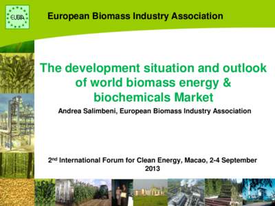 European Biomass Industry Association  The development situation and outlook of world biomass energy & biochemicals Market Andrea Salimbeni, European Biomass Industry Association