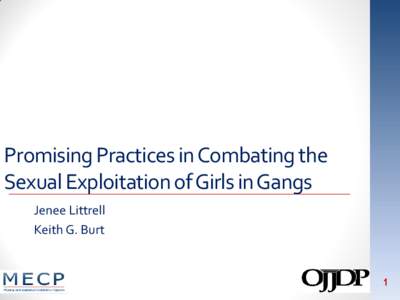 Promising Practices in Combating the Sexual Exploitation of Girls in Gangs Jenee Littrell Keith G. Burt  1