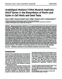 Arabidopsis / Biology / Brassicaceae / Arabidopsis thaliana / Expansin