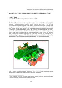 Understanding and Capturing the Multiple values of Tropical Forests  AMAZONIAN TROPICAL FORESTS: CARBON SOURCE OR SINK? Carlos A. Nobre Center for Weather Forecasting and Climate Studies (CPTE)1